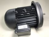 Weishaupt Burner Motor